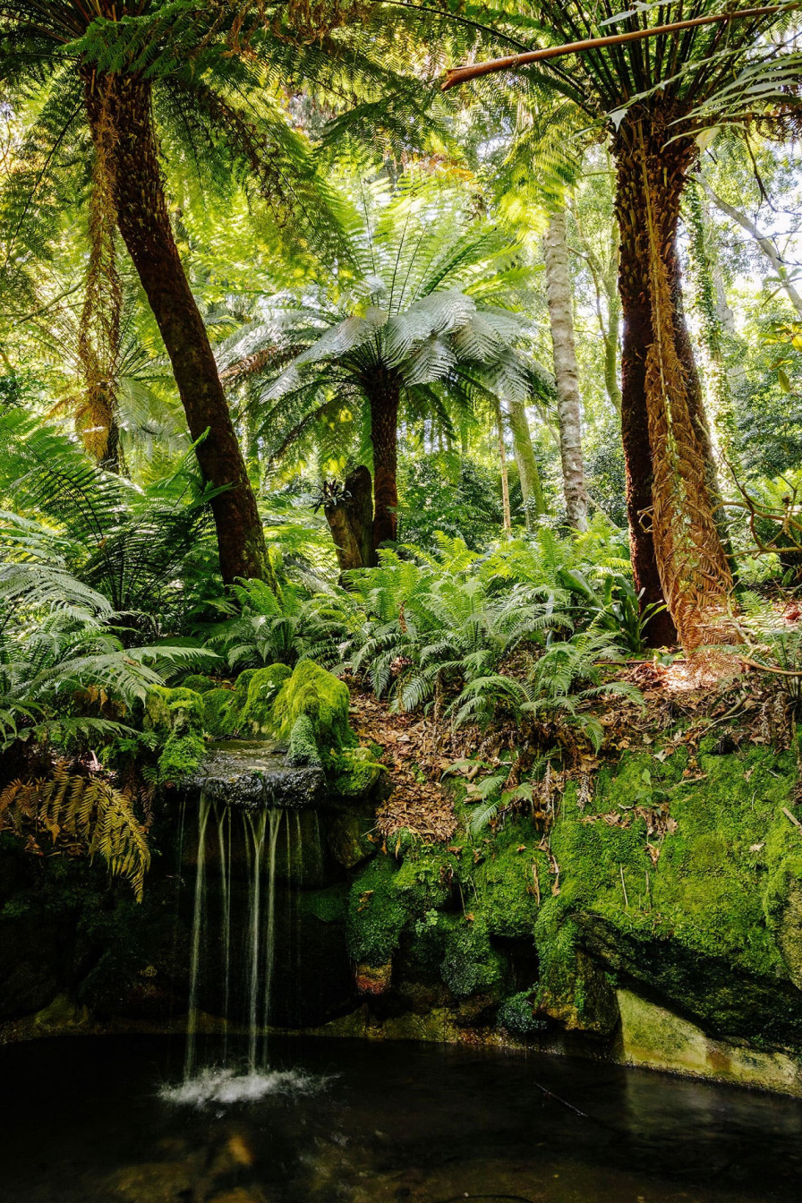 Visit Sintra Pena Park Sintra