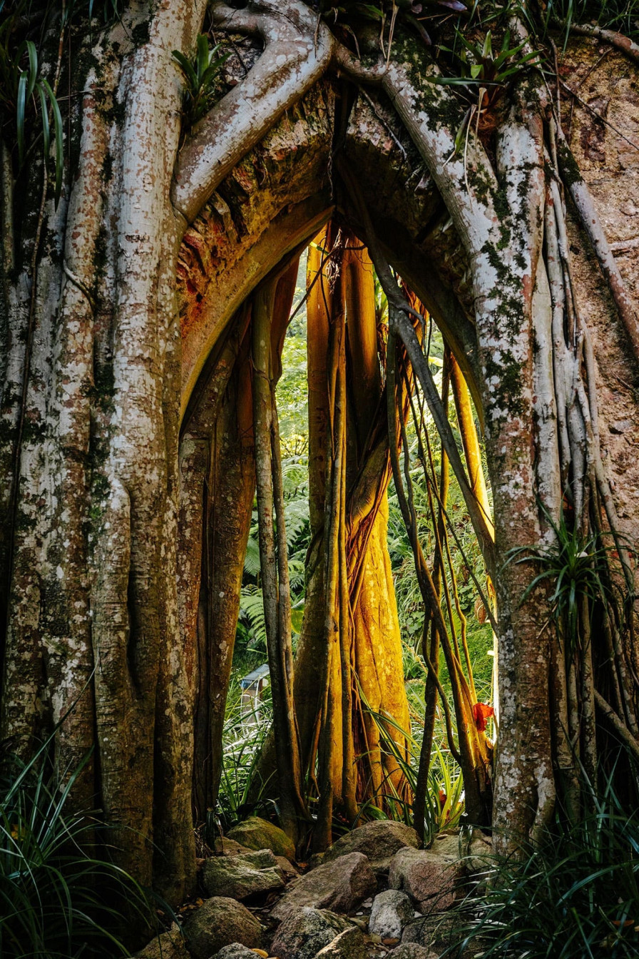 Visit Sintra Park of Monserrate Sintra